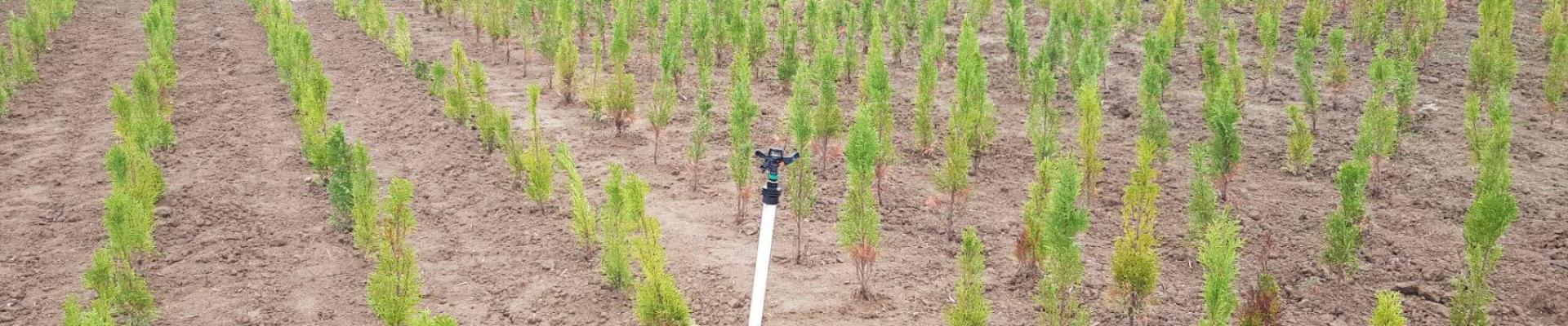 Izrada zalivnih sistema