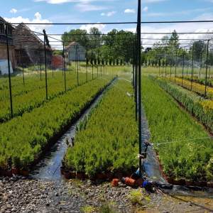 Izrada zalivnih sistema